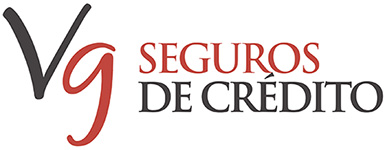 Logo VG Seguros