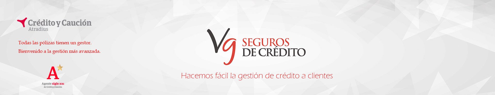 Seguros de crédito VG